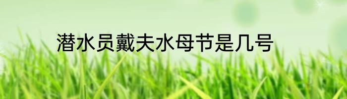 潜水员戴夫水母节是几号