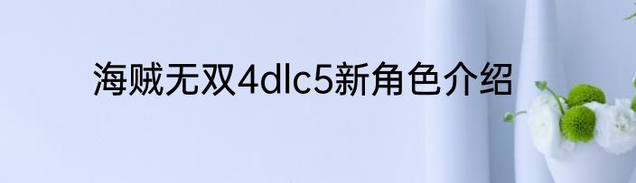 海贼无双4dlc5新角色介绍