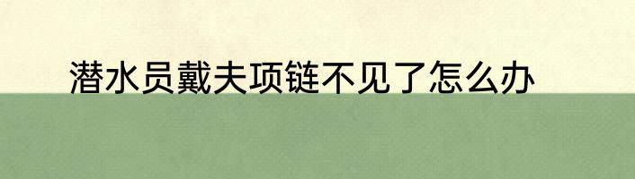 潜水员戴夫项链不见了怎么办
