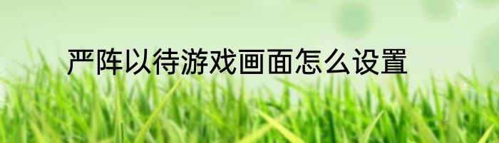 严阵以待游戏画面怎么设置