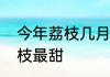 今年荔枝几月份成熟　几月成熟的荔枝最甜