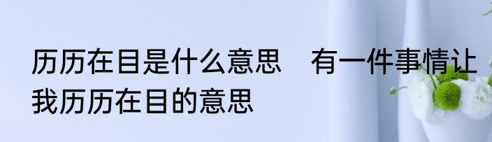 历历在目是什么意思　有一件事情让我历历在目的意思