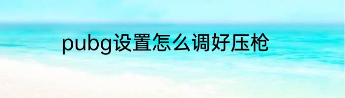pubg设置怎么调好压枪