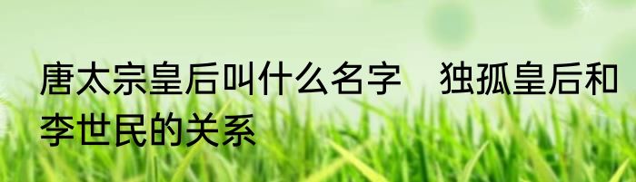 唐太宗皇后叫什么名字　独孤皇后和李世民的关系