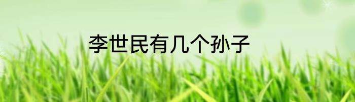 李世民有几个孙子