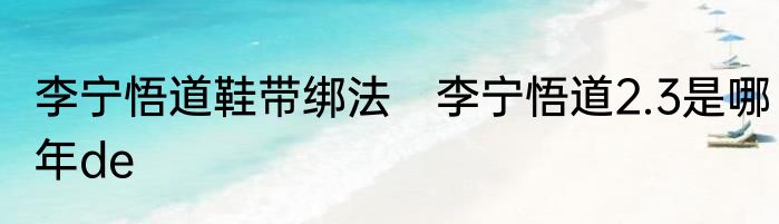 李宁悟道鞋带绑法　李宁悟道2.3是哪年de