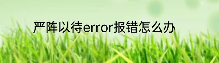 严阵以待error报错怎么办