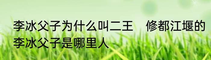 李冰父子为什么叫二王　修都江堰的李冰父子是哪里人