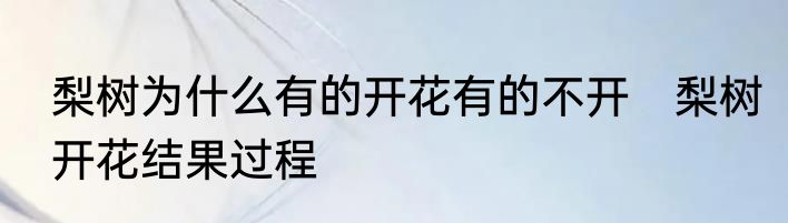 梨树为什么有的开花有的不开　梨树开花结果过程
