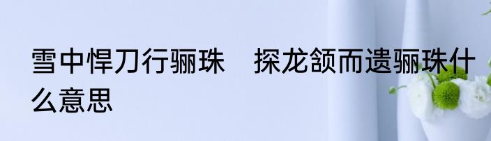 雪中悍刀行骊珠　探龙颔而遗骊珠什么意思