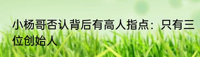 小杨哥否认背后有高人指点：只有三位创始人