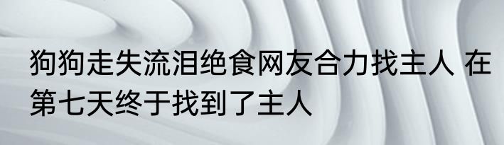狗狗走失流泪绝食网友合力找主人 在第七天终于找到了主人