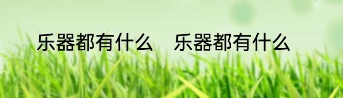 乐器都有什么　乐器都有什么