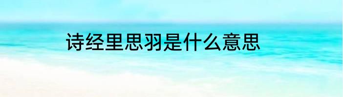 诗经里思羽是什么意思