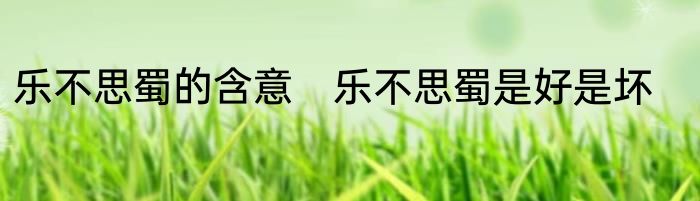 乐不思蜀的含意　乐不思蜀是好是坏