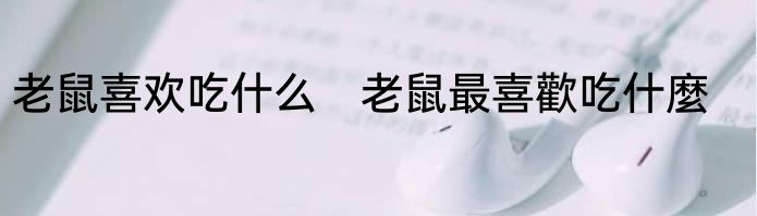 老鼠喜欢吃什么　老鼠最喜歡吃什麼