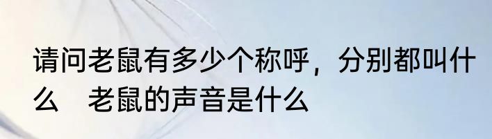 请问老鼠有多少个称呼，分别都叫什么　老鼠的声音是什么