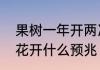 果树一年开两次花预示什么　秋天梨花开什么预兆
