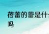 蓓蕾的蕾是什么意思　“蕾”是多音字吗