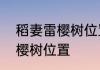 稻妻雷樱树位置　原神稻妻神无冢雷樱树位置