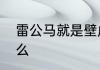 雷公马就是壁虎吗　海南雷公马吃什么