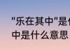 “乐在其中”是什么意思，急　乐在其中是什么意思