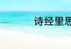 诗经里思羽是什么意思