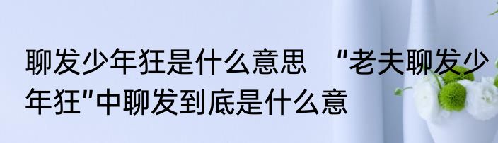 聊发少年狂是什么意思　“老夫聊发少年狂”中聊发到底是什么意