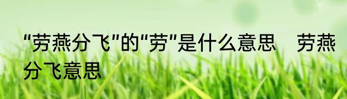 “劳燕分飞”的“劳”是什么意思　劳燕分飞意思