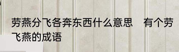 劳燕分飞各奔东西什么意思　有个劳飞燕的成语