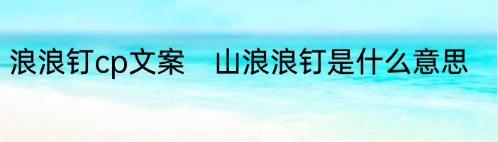 浪浪钉cp文案　山浪浪钉是什么意思