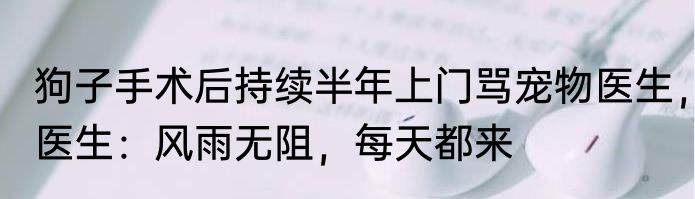 狗子手术后持续半年上门骂宠物医生，医生：风雨无阻，每天都来