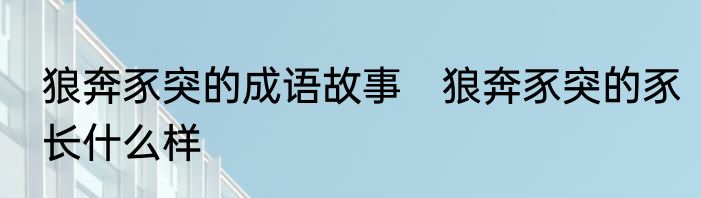 狼奔豕突的成语故事　狼奔豕突的豕长什么样