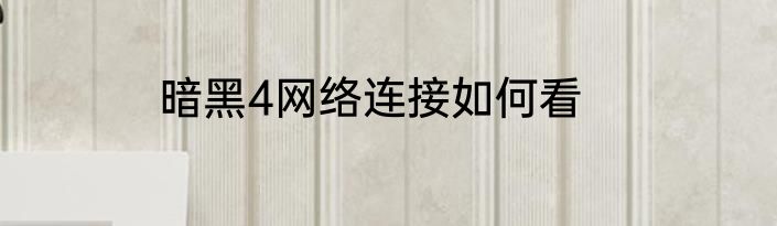 暗黑4网络连接如何看