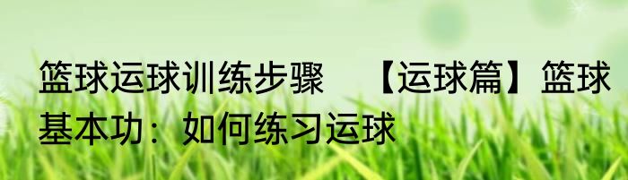 篮球运球训练步骤　【运球篇】篮球基本功：如何练习运球