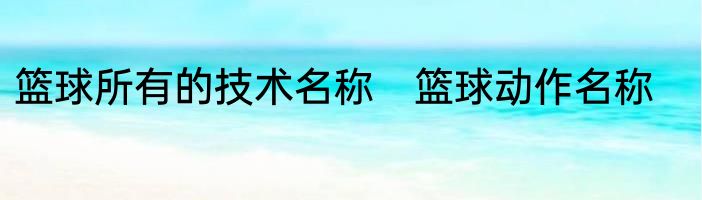 篮球所有的技术名称　篮球动作名称