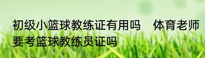 初级小篮球教练证有用吗　体育老师要考篮球教练员证吗