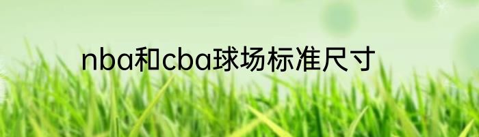 nba和cba球场标准尺寸
