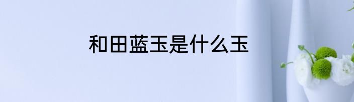 和田蓝玉是什么玉