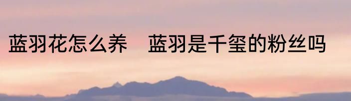 蓝羽花怎么养　蓝羽是千玺的粉丝吗
