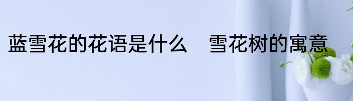 蓝雪花的花语是什么　雪花树的寓意