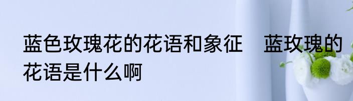 蓝色玫瑰花的花语和象征　蓝玫瑰的花语是什么啊
