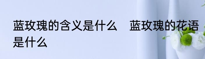 蓝玫瑰的含义是什么　蓝玫瑰的花语是什么