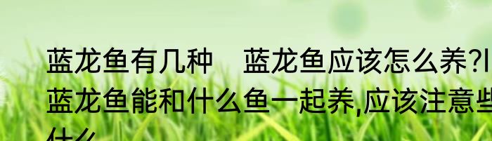 蓝龙鱼有几种　蓝龙鱼应该怎么养?l蓝龙鱼能和什么鱼一起养,应该注意些什么