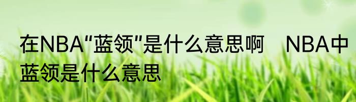 在NBA“蓝领”是什么意思啊　NBA中蓝领是什么意思