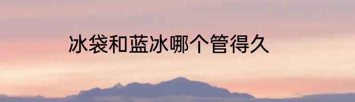 冰袋和蓝冰哪个管得久