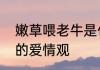 嫩草喂老牛是什么意思　嫩草爱老牛的爱情观