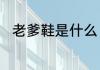 老爹鞋是什么　为什么称为老爹鞋