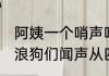 阿姨一个哨声呼唤流浪狗投喂食物 流浪狗们闻声从四面八方聚集而来