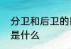 分卫和后卫的区别　篮球后卫的作用是什么